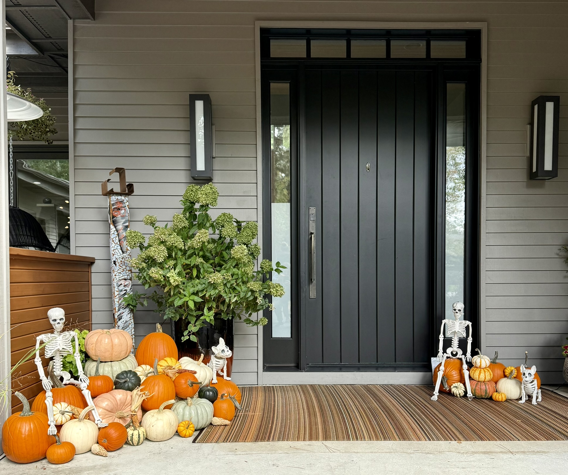 Screenshot 2025-09-14 at 4.03.50 PM fall pumpkins