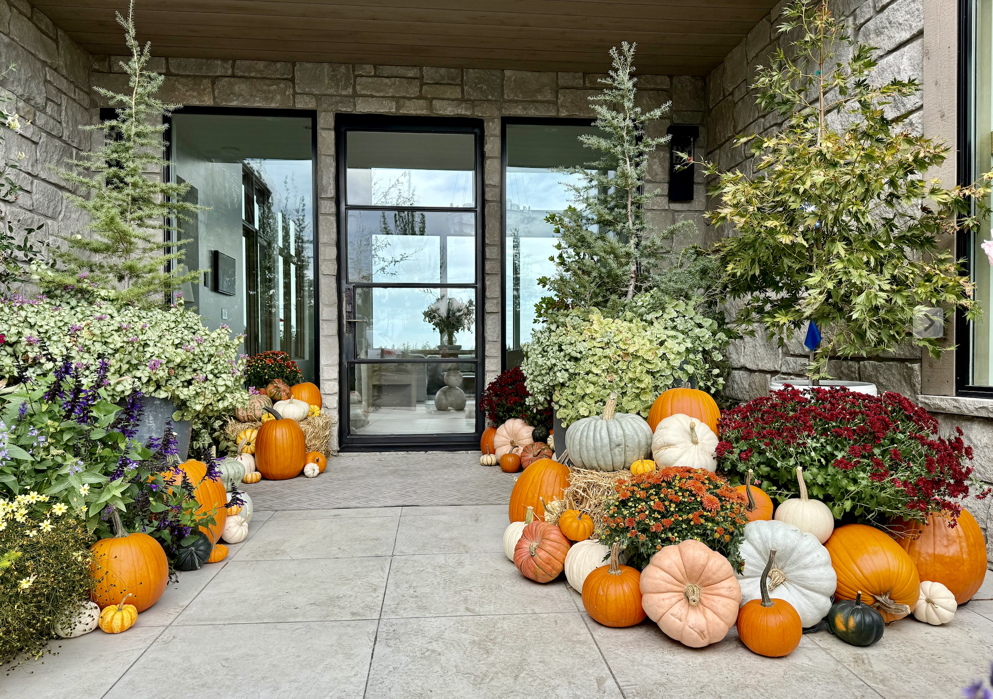 Screenshot 2025-09-14 at 4.07.43 PM pumpkins on a porch