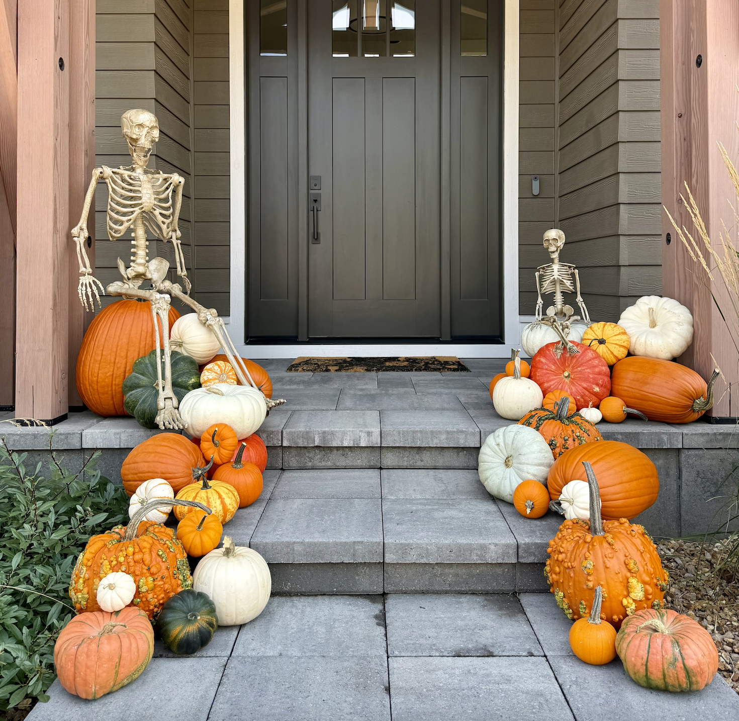 Screenshot 2025-09-14 at 4.03.50 PM fall pumpkins