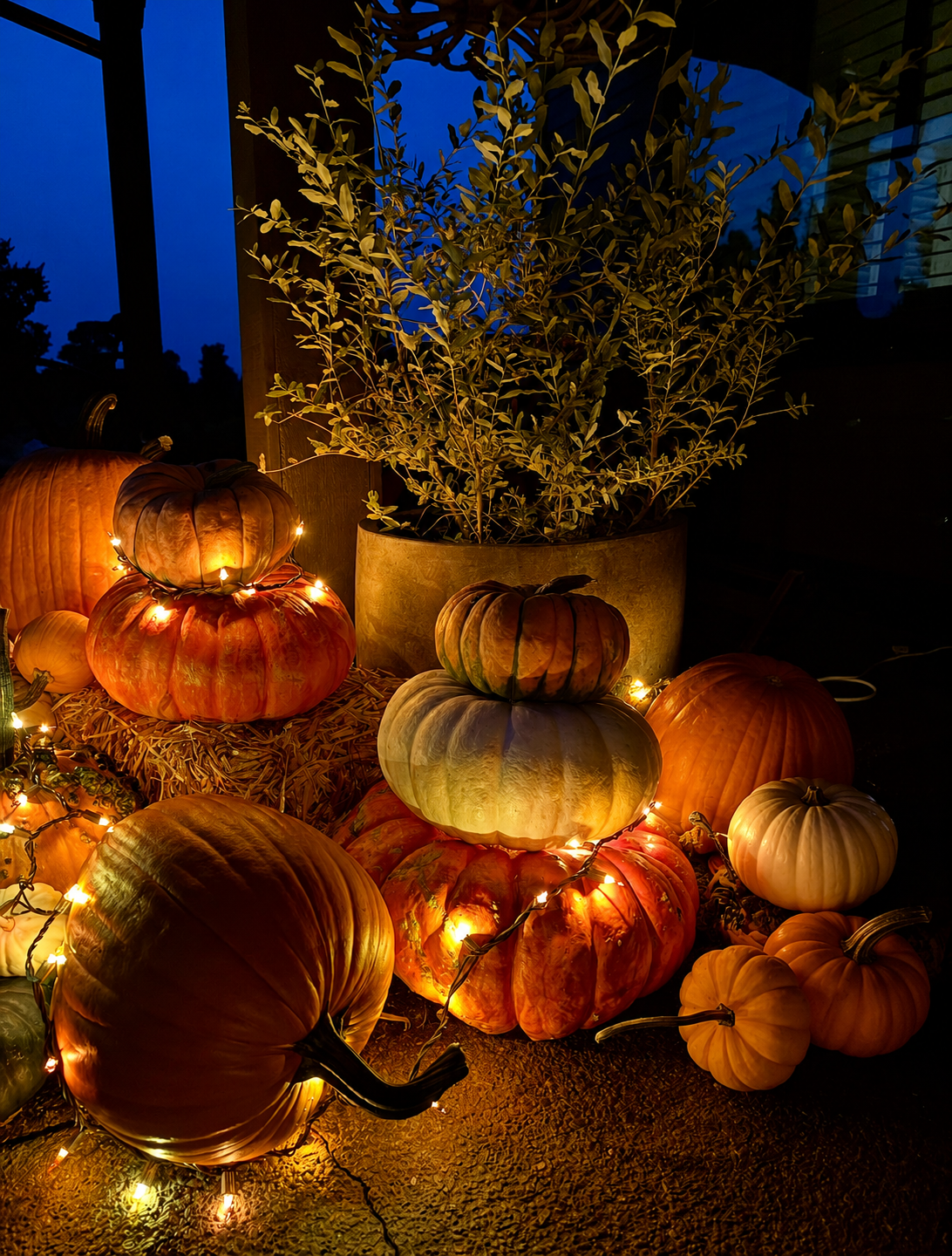 fall pumpkins